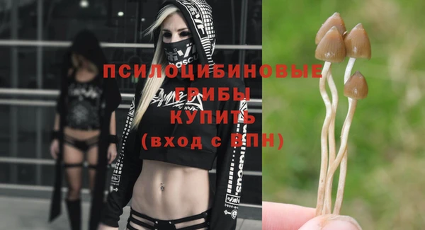 синтетический гашиш Дмитровск