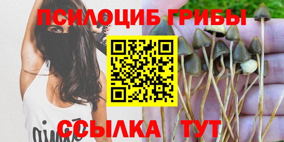 Выкса  Псилоцибиновые грибы Psilocybe  Вход с VPN 