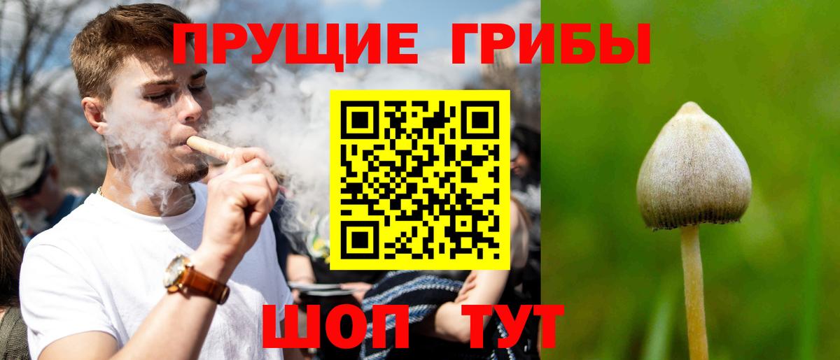 Псилоцибиновые грибы GOLDEN TEACHER  Псилоцибиновые грибы мицелий  Выкса 